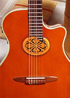 Yamaha APX