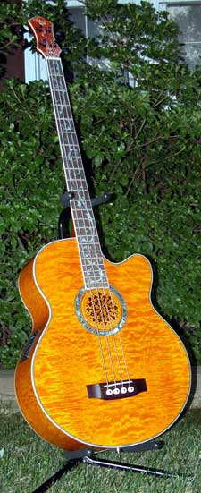 Kelly Bass 1