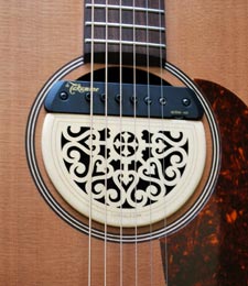 Takamine TAN 20
